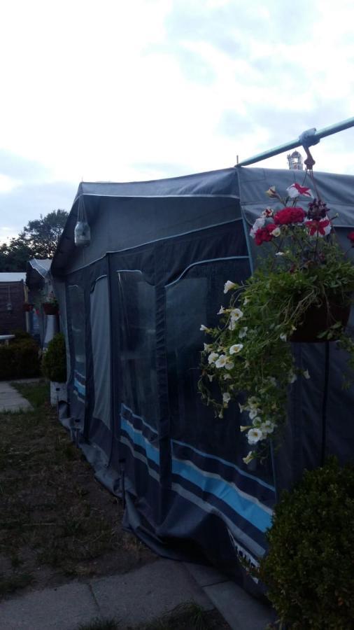 Kemping Caravans Magda Niechorze